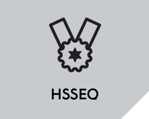 HSSEQ-on